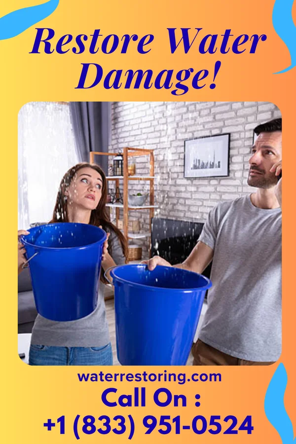 water restoration Vigilant Drying LLC Binghamton