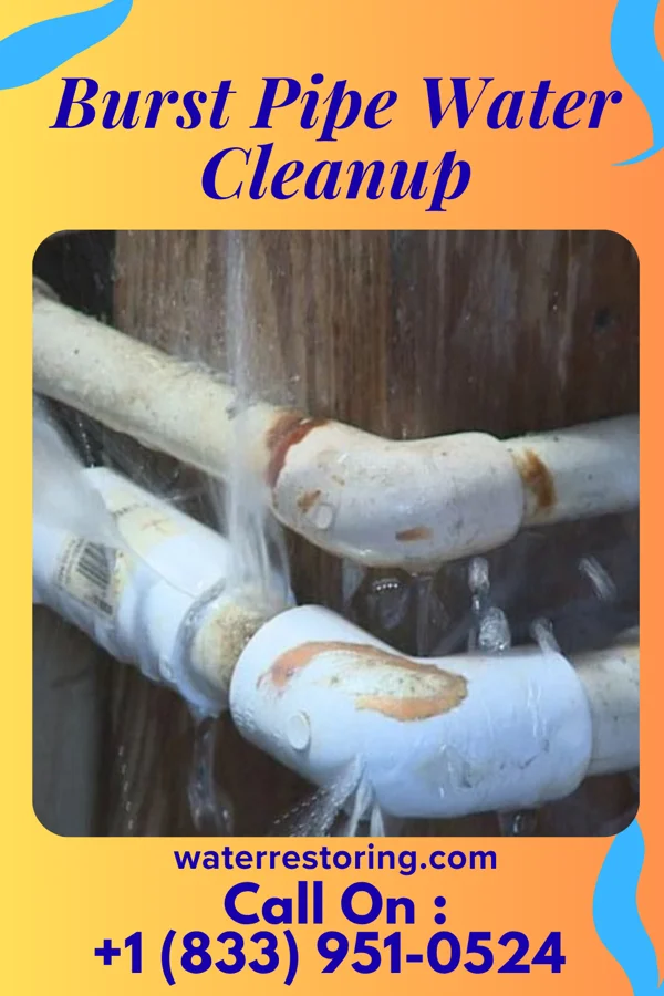 Burst Pipe Water Cleanup in Binghamton, NY