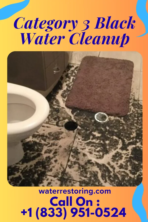 Category 3 Black Water Cleanup in Binghamton, NY