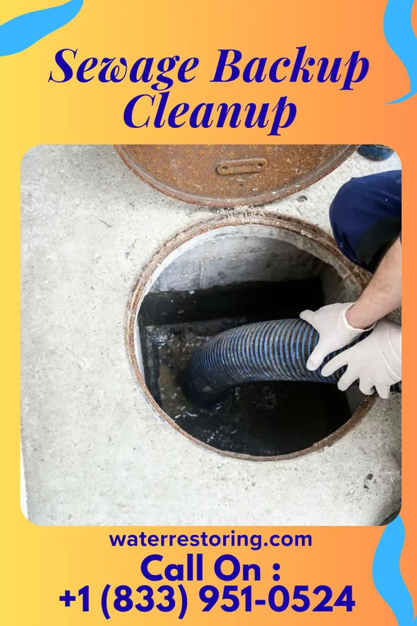 Sewage Backup Cleanup in Binghamton, NY
