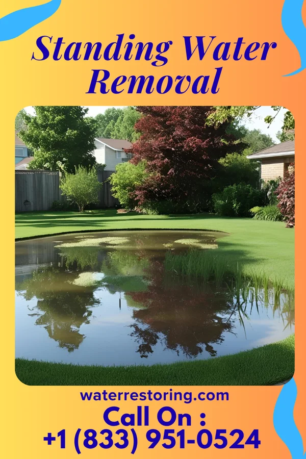 Standing Water Removal in Binghamton, NY
